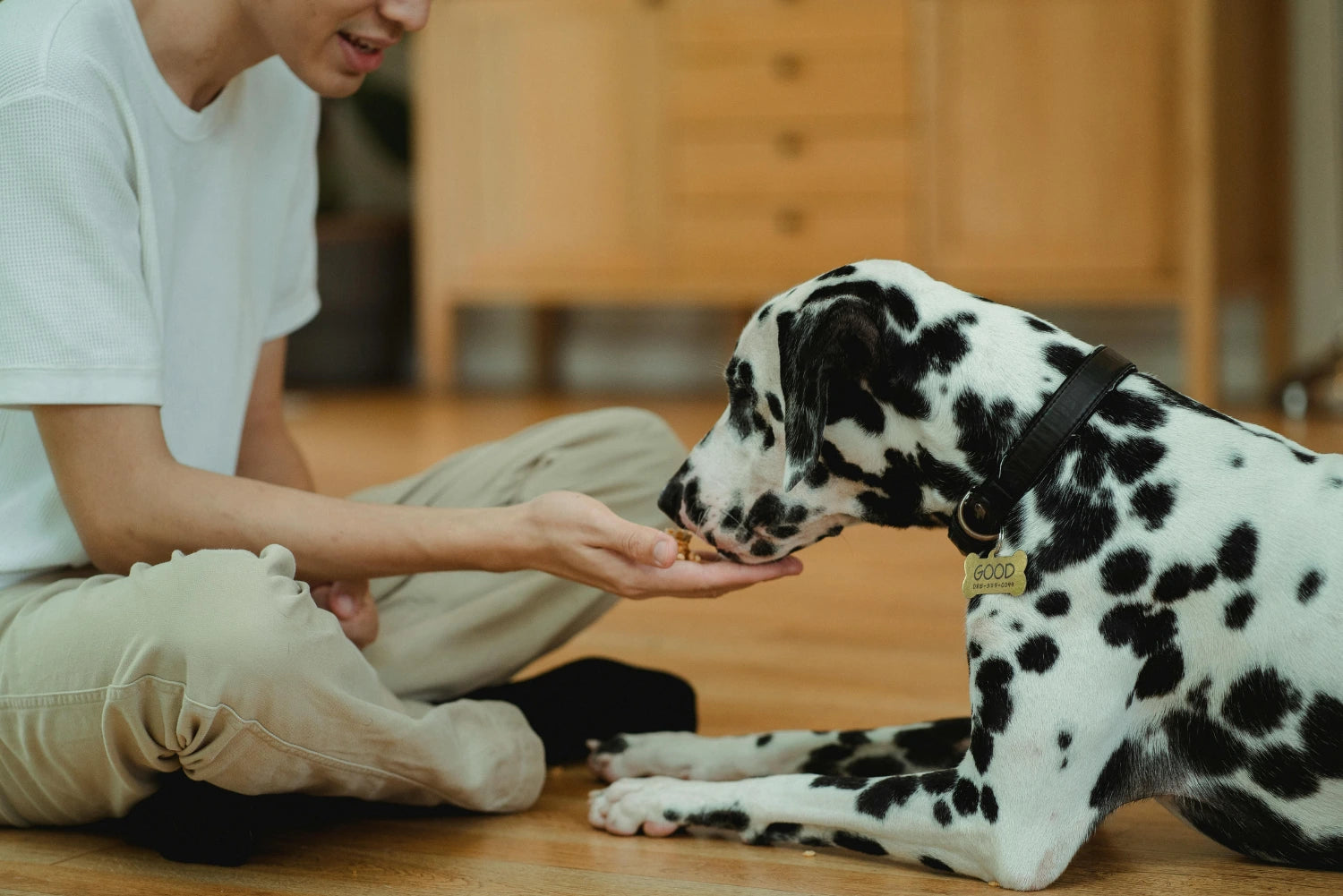 Liftapaw