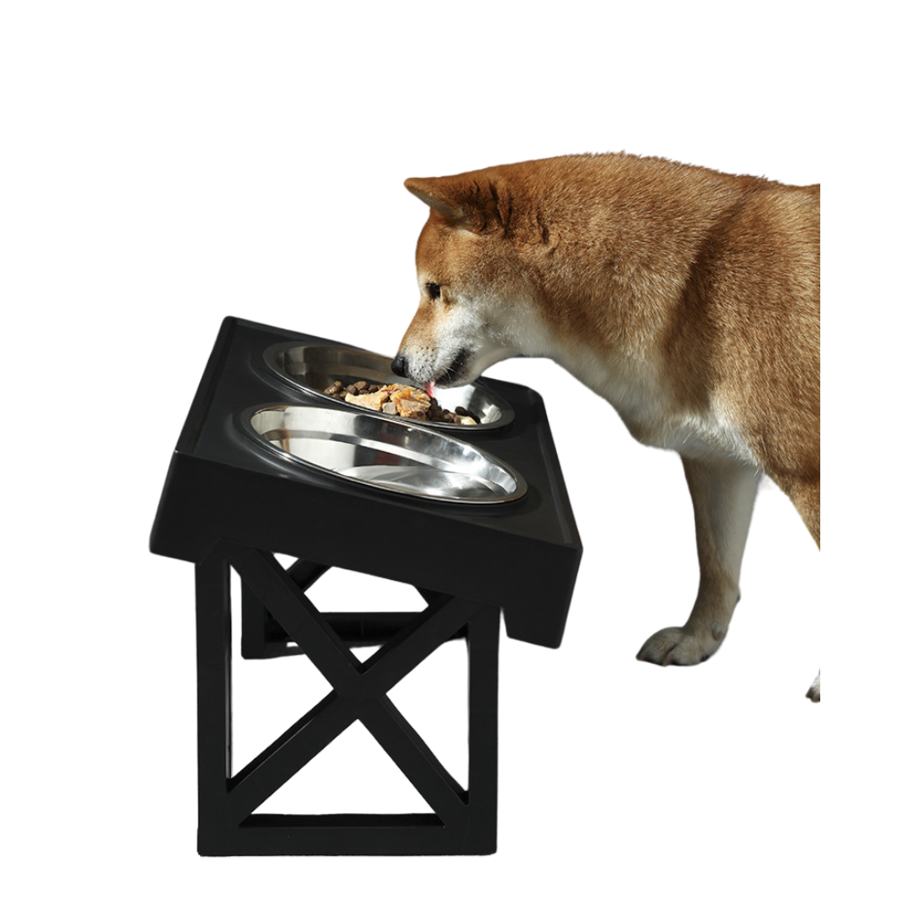 elevated dog bowl slow feeder