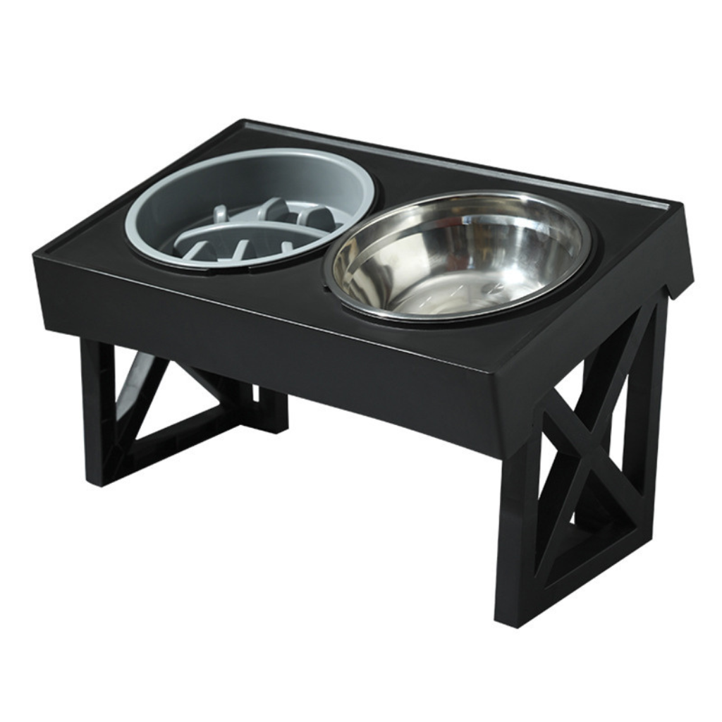 raised dog bowl