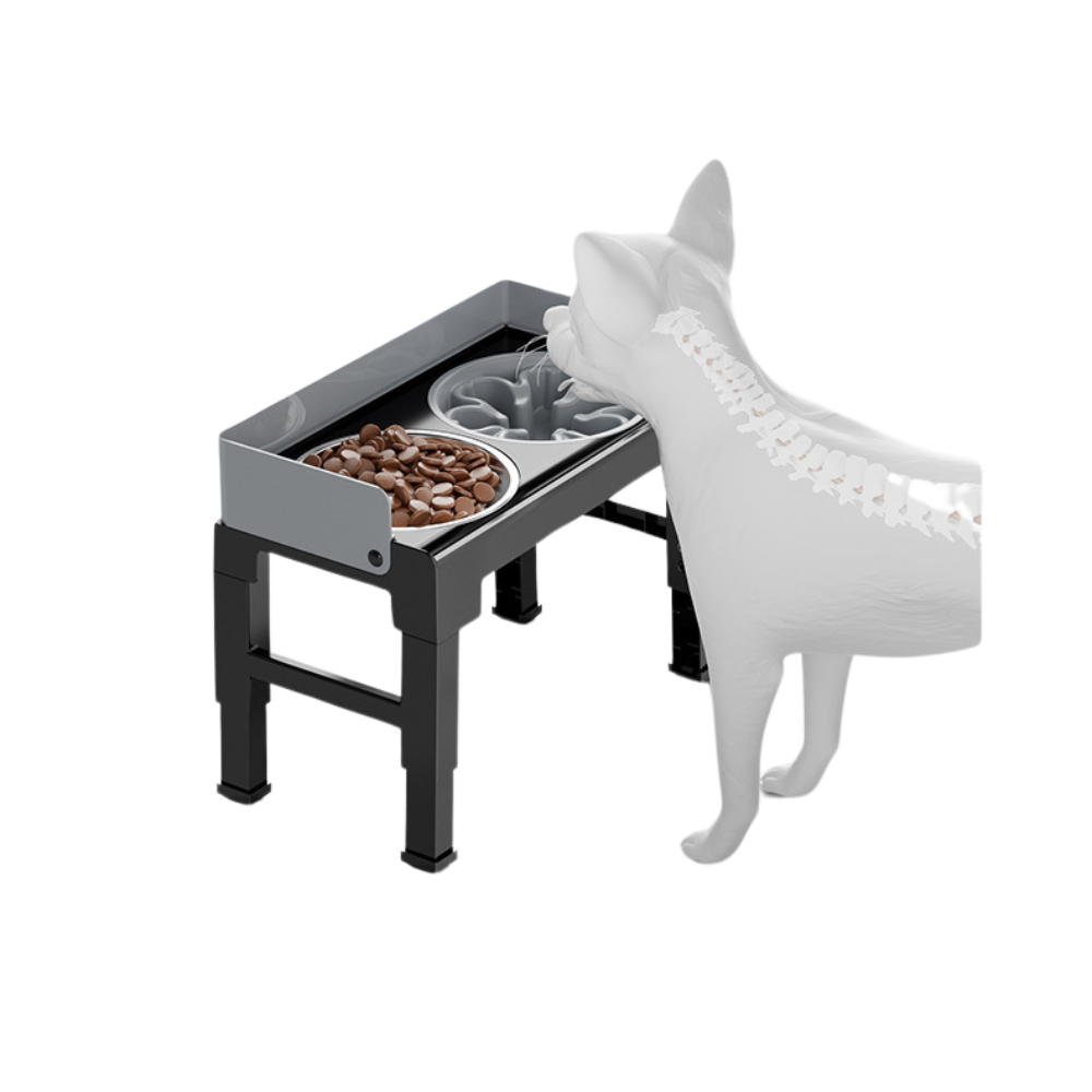 raised dog bowl grey pet