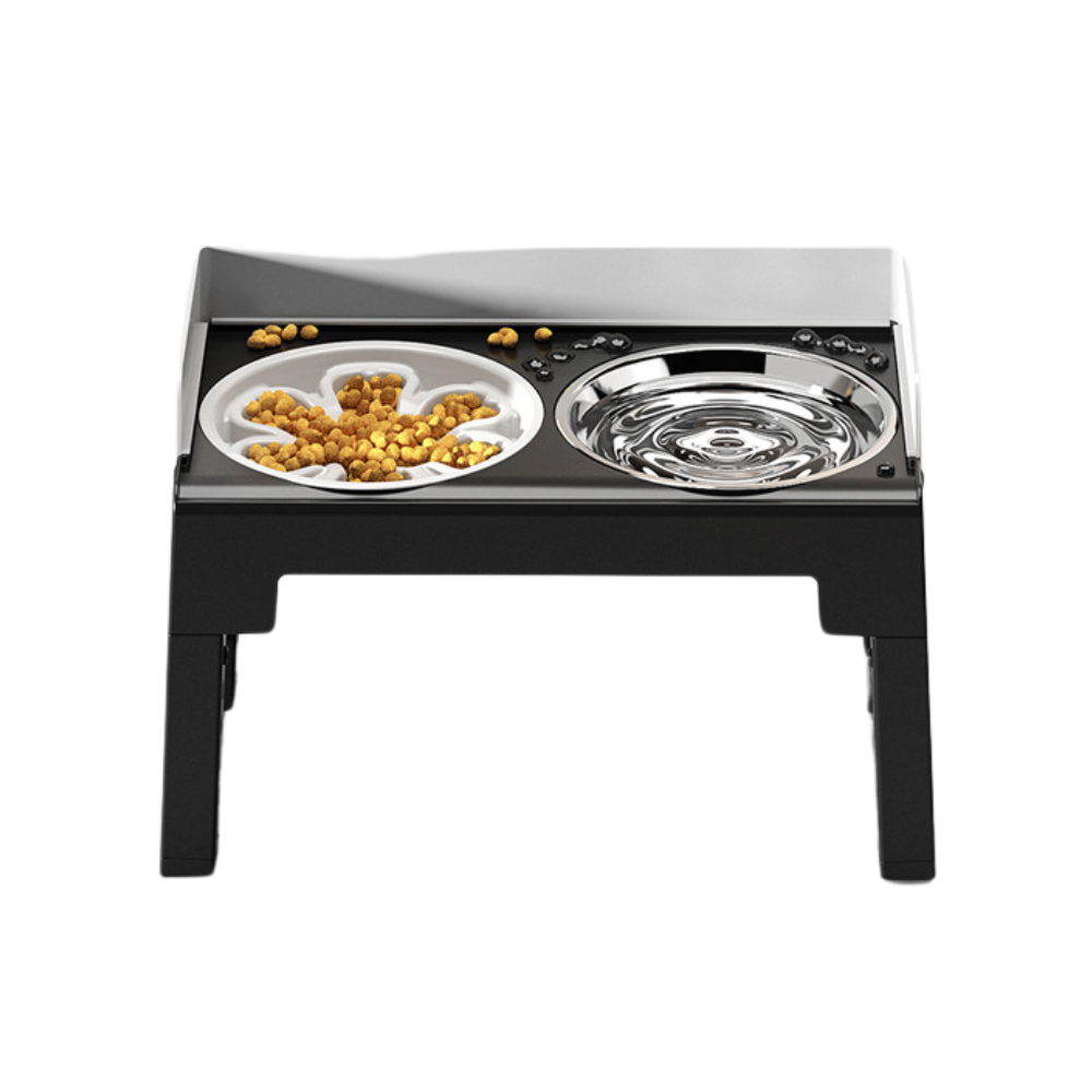 raised dog bowl pet