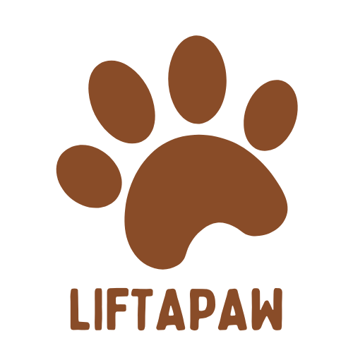 LIFTAPAW
